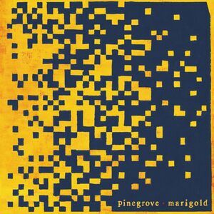 Pinegrove - Marigold  LP LP